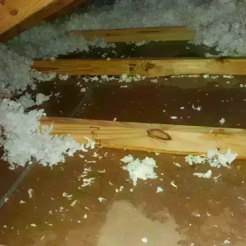 Attic Water Damage in South Gate Ridge, FL